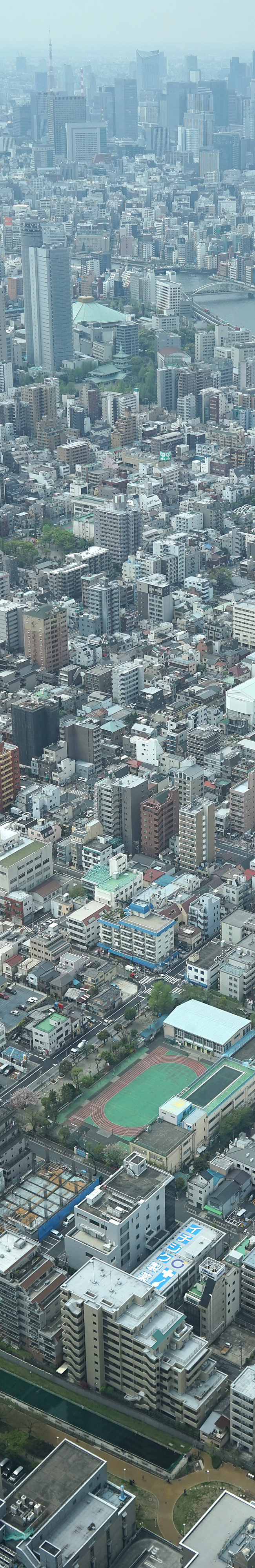 skytree