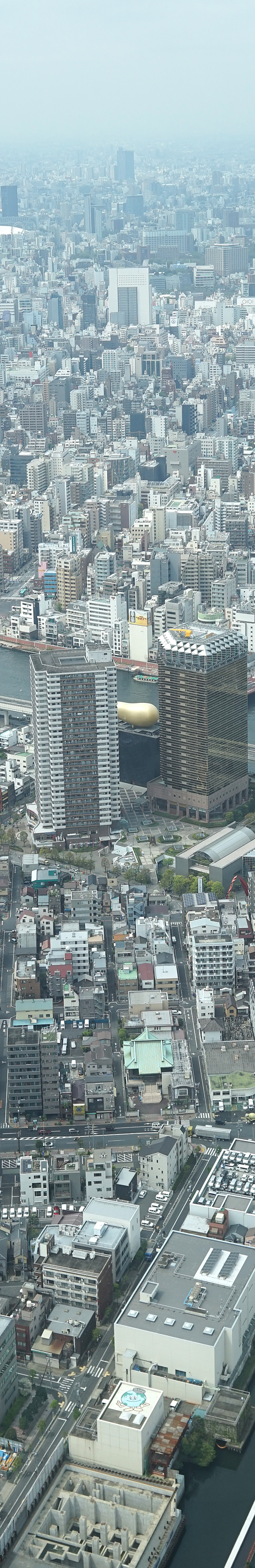 skytree