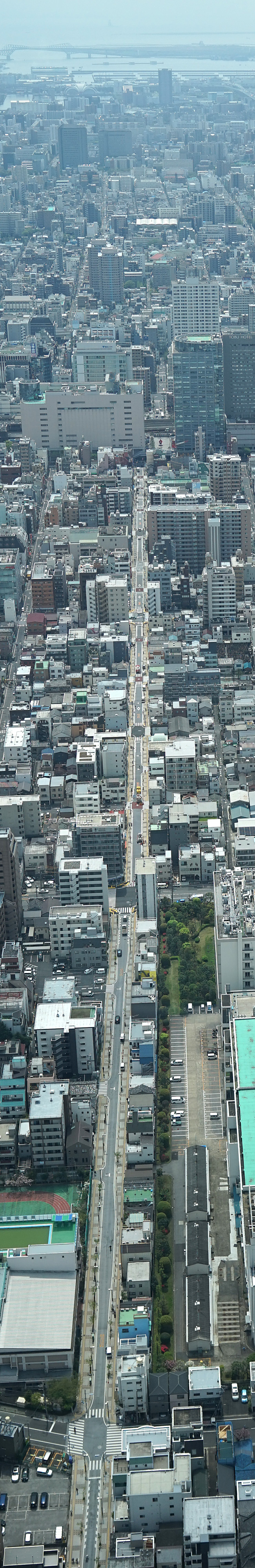 skytree