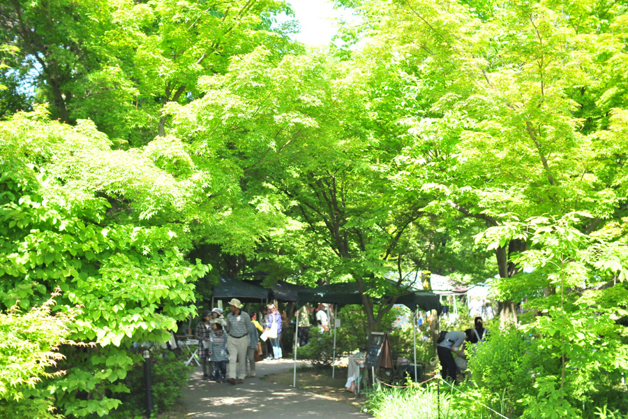 須坂アートパーク 森の中のクラフトフェア2017
