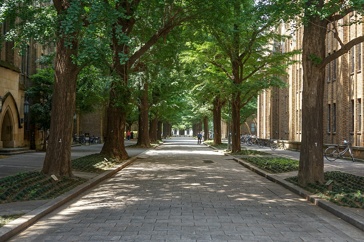 東京大学
