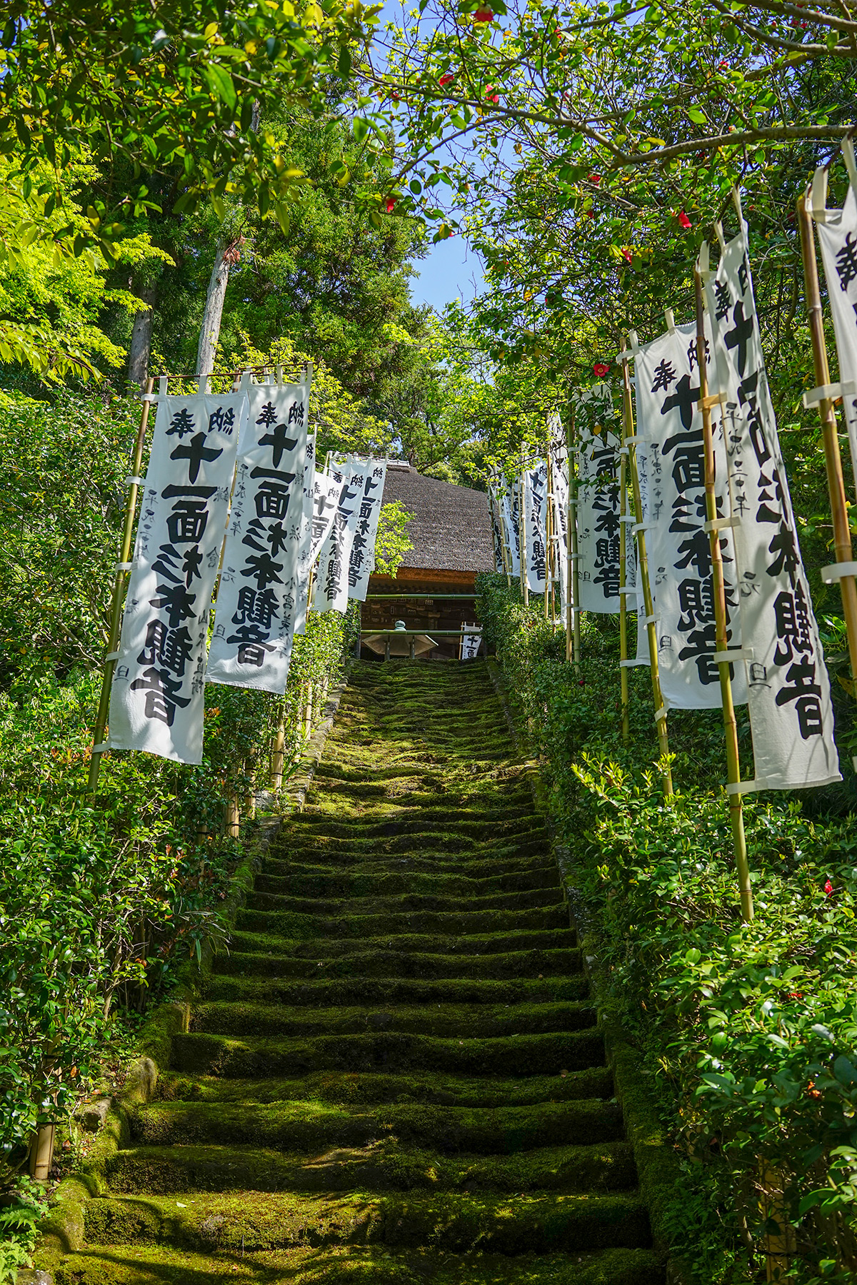 杉本寺
