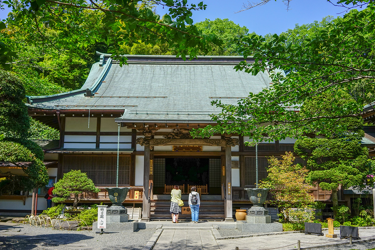 報国寺