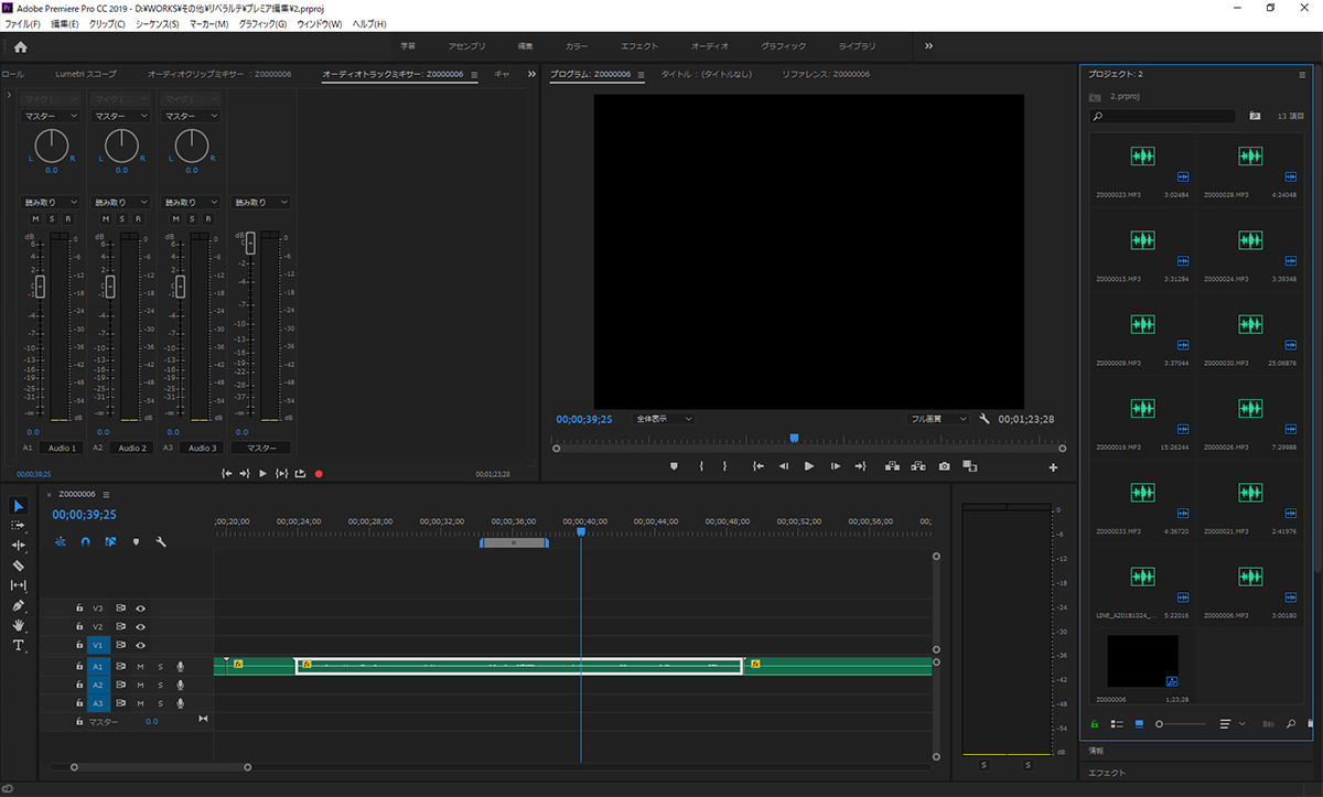 Premiere Pro